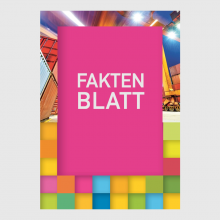 Faktenblatt S+V